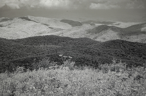 Infra-Red images from Black Balsam on the Blue Ridge Parkway in Western North Carolina, USA