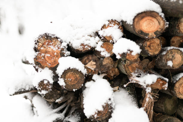 A stack of chopped firewood stacked outside in winter in Iowa City, Iowa, United States