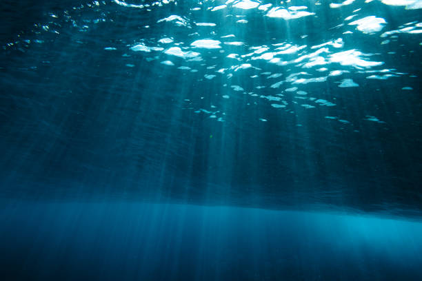 istock Wave underwater view with the rays of the sunset lights 1677231092