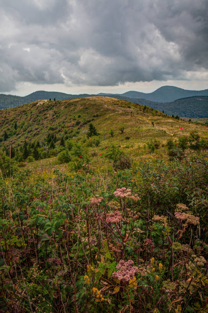 Art Loeb Trail on Black Balsam