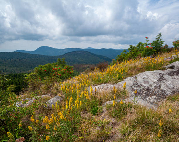 Art Loeb Trail on Black Balsam in the Pisgah National Forest, NC
