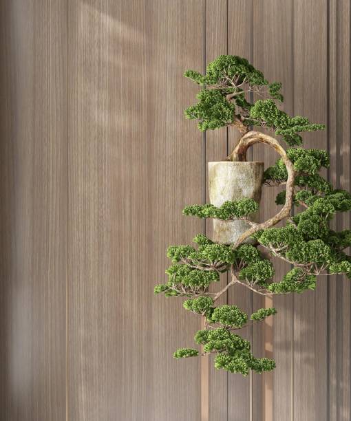 istock Japanese large bonsai tree in white pot in sunlight, shadow on blank wood panelling wall 1677263546