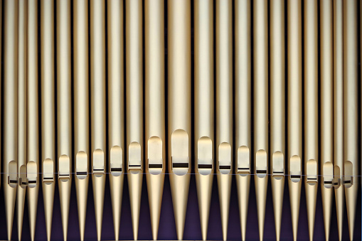 There back of the pipe organ in Manchester Cathedral showing the gold colours