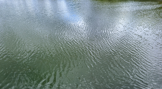 green abstract background. Reflection of light on a smooth surface of water with small waves. \nTidewater green background with copy space for design.