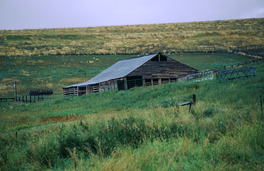 Grain bins on a farm in Missouri