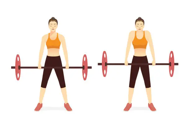 Vector illustration of Sport woman doing exercise with barbell shoulder shrugs pose by weight bar. How to Free weight exercise at the shoulder weight lifting equipment.