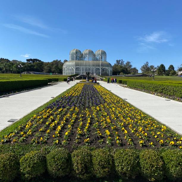 istock The botanical garden and greenhouse 1677393532