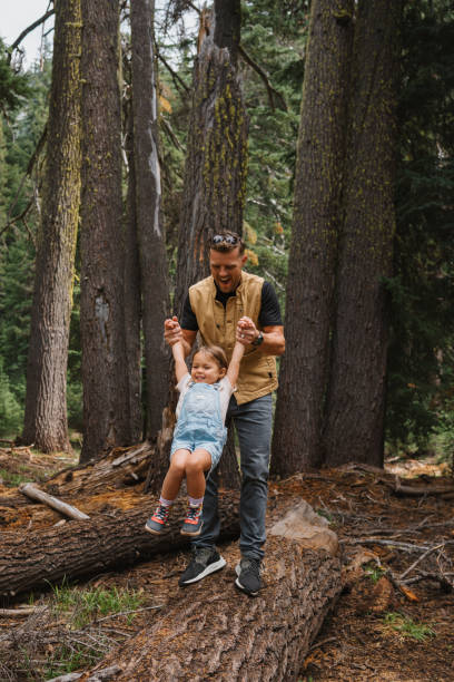 istock Father playfully swings daughter while hiking through evergreen forest 1677397538