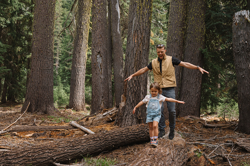 A cute three year old Eurasian girl and her fun and loving father walk along a fallen tree trunk with their arms stretched out for balance during an adventurous family hike through a forest in Oregon.