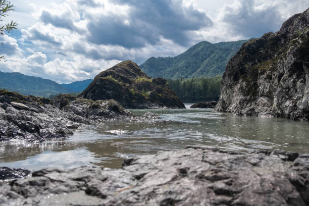 A wide, full-flowing mountain river with a fast current. Large stones stick out of the water. The large turquoise-colored mountain river Katun in the Altai Mountains, Altai Republic.