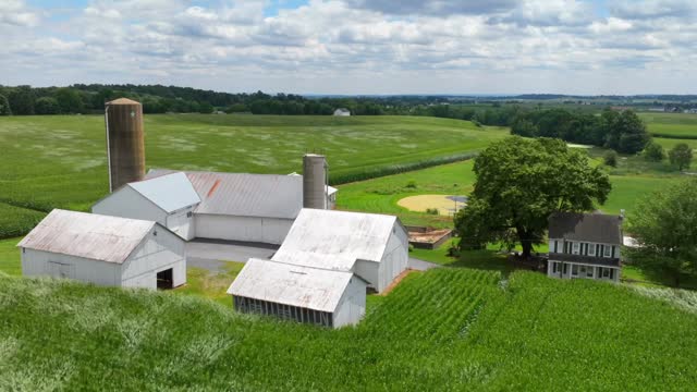 Aerial hyperlapse of family farm in rural USA surrounded by cornfields in summer. Bright, windy afternoon with clouds moving. Drone timelapse.