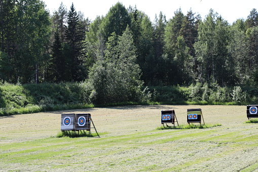 Multiple archery targets left abandoned in a forest surrounded by trees