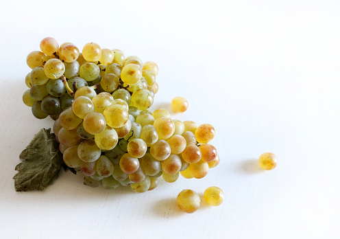 Yellow oval shaped grapes on white background, organic food, studio shot