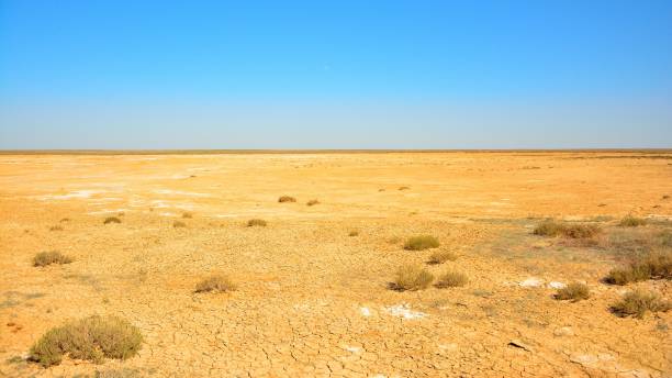 istock Arid clay soil sun desert, cracked scorched earth soil drought. 1677514969