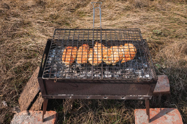 Chicken meat is grilled in a barbecue grill. Outdoor recreation Chicken meat is grilled in a barbecue grill. Outdoor recreation smoking meat rotisserie barbecue grill stock pictures, royalty-free photos & images