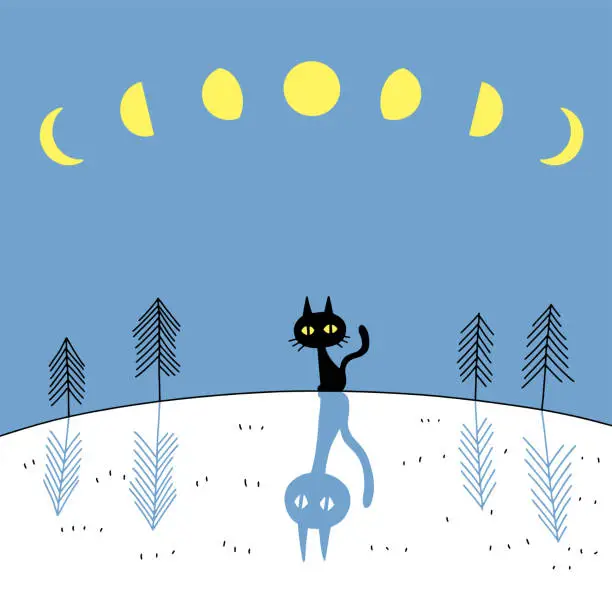Vector illustration of moonlit night silhouette Black cat
