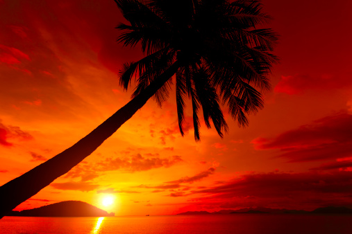 Sunset in tropical paradise. On sea coastline