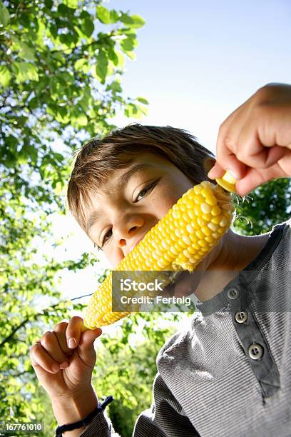 Foto de Espiga De Milho De Verão e mais fotos de stock de 4-5 Anos - 4-5 Anos, Alimentação Saudável, Comer