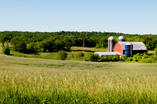 A beautiful view of a Wisconsin farm in Summer. 