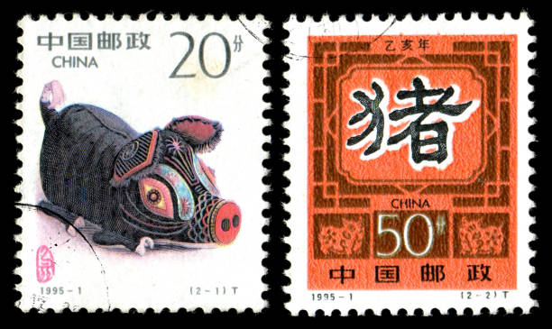 istock Year of the Pig (XXXL) 167762107