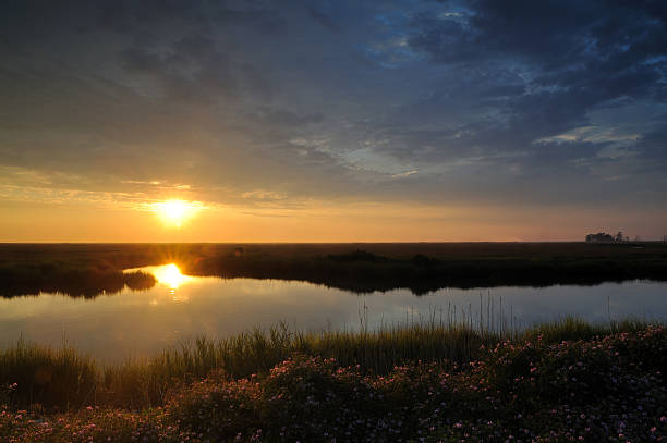 Bombay Hook National Wildlife Refuge