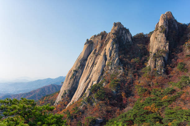 istock Autumn Mountain in Korea 1677624310