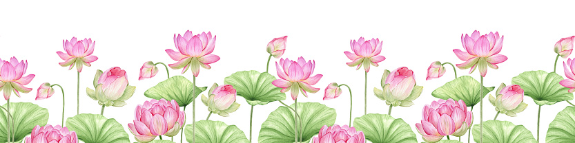 Pink lotus flowers and leaves. Watercolor seamless border. Tropical flora. Oriental traditional pattern. Isolated. For the design of goods, packaging, invitations. postcards