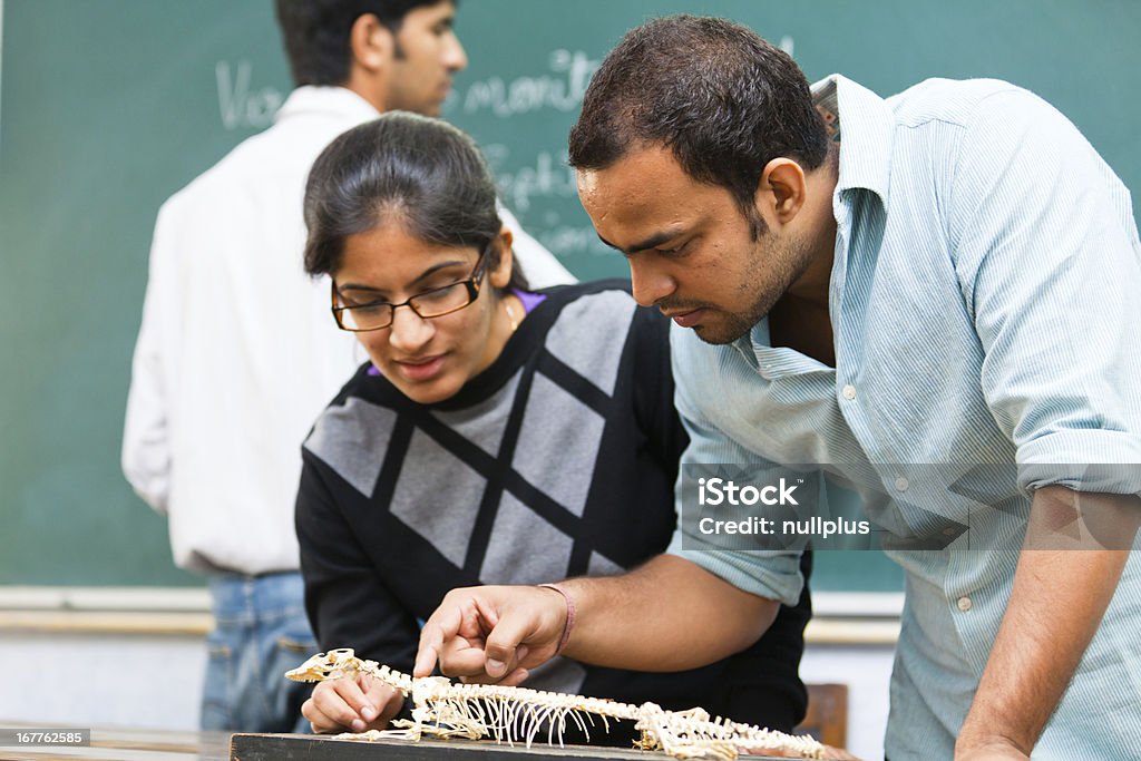 Estudiantes indios con varano esqueleto - Foto de stock de 20 a 29 años libre de derechos
