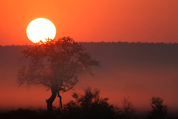 This is a color photograph of a vibrant orange and red cloudscape at sunset in Etosha National Park in Namibia, Africa.