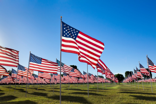 Scores of American flags wave in the breeze backed by a blue sky, in a patriotic display.