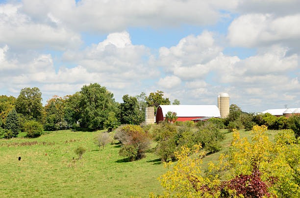 Traditional Farm A traditional midwestern american farm on a sunny day. michigan farmland stock pictures, royalty-free photos & images