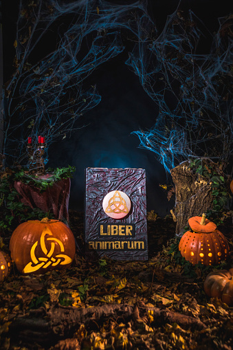 Spooky Halloween banner in a misty forest with an arrangement of glowing pumpkins with carved triquetras, magic book and candles with dried leaves. Inscription on the book in Lithuanian: Book of Souls