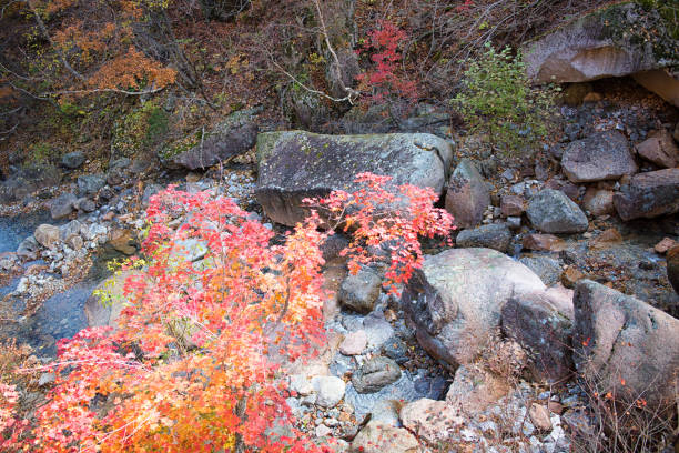 Seoraksan National Park, Korea