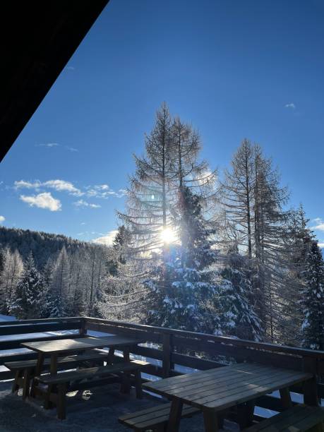 istock Group of picnic tables situated on a balcony, surrounded by a snow-covered forest 1677672965