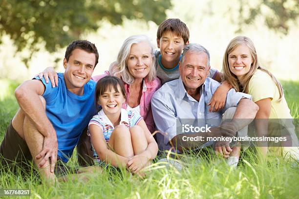 Geração De Três Família Relaxante No Verão De Campo - Fotografias de stock e mais imagens de Família de várias gerações