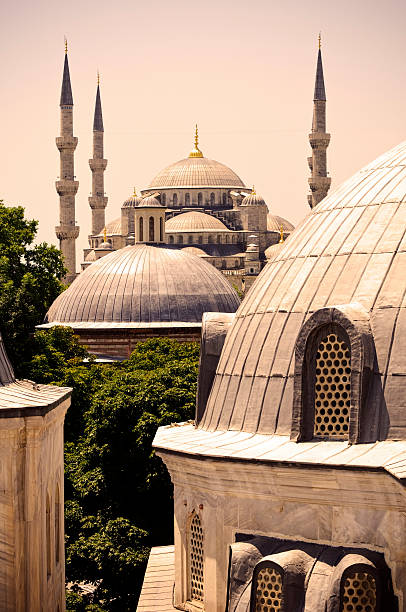istock Blue Mosque in Istanbul viewed from Aya Sofia 167769543