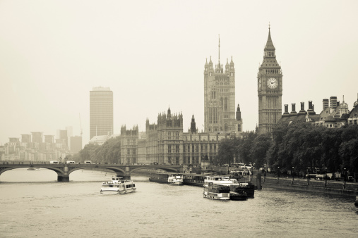 This aerial black and white photograph presents a timeless view over London's iconic skyline. Dominating the scene is the majestic silhouette of the Houses of Parliament and the iconic clock tower, Big Ben, standing as sentinels over the River Thames. The river's calm waters reflect the grandeur of these historical structures, while the sprawling urban landscape stretches into the horizon, peppered with both modern and ancient buildings. The overcast sky casts a diffuse light, lending the city a soft, ethereal quality and highlighting the intricate gothic architecture. This image encapsulates the enduring legacy and the unchanging face of London amidst the ever-evolving tapestry of city life, inviting the viewer to ponder the stories and history woven into the fabric of this grand metropolis.