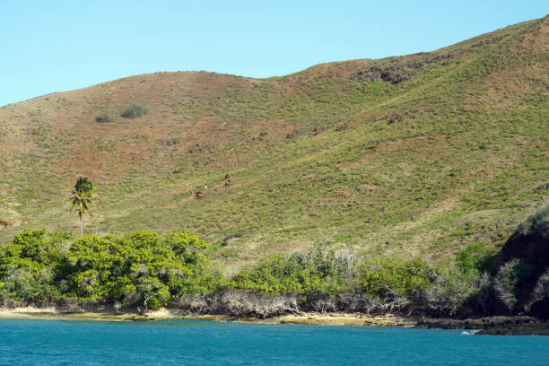 istock Tahuata island - Marquises Islands - French Polynesia 1677725519