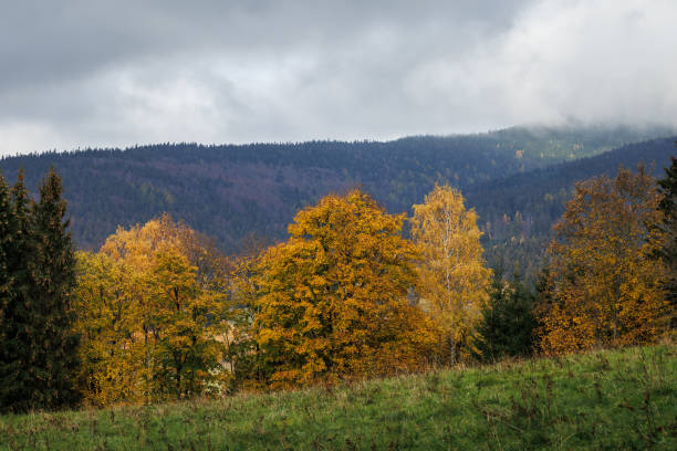 istock Mountains and woodland in autumn 1677743796