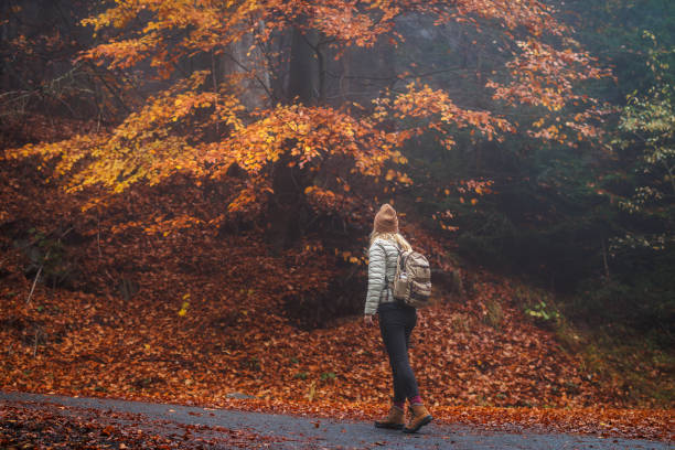 istock Woman with backpack hiking in misty autumn forest 1677744334