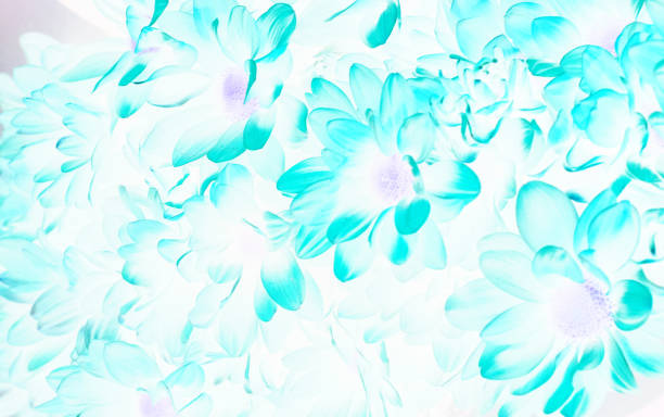 istock beautiful blue flowers background,Pastel flowers pattern. Foliage background flowers pattern 1677748317