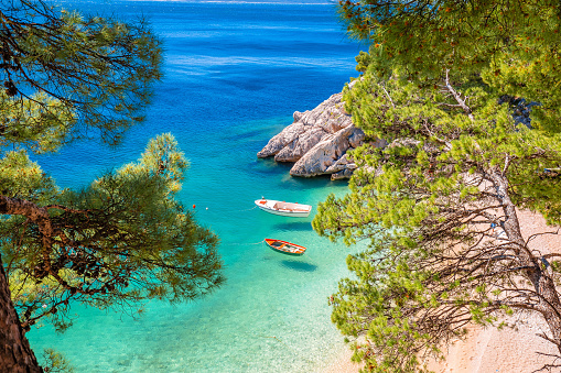 Idyllic beach Punta Rata in Brela view through Mediterranean trees, Makarska riviera of Dalmatia, Croatia