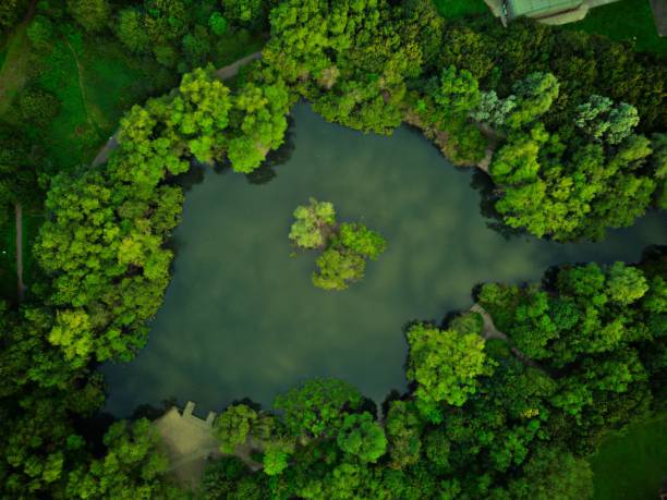 istock a view from above looking down at a lake surrounded by trees 1677790764
