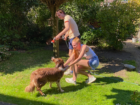 Washing and drying the dog on a warm summer day