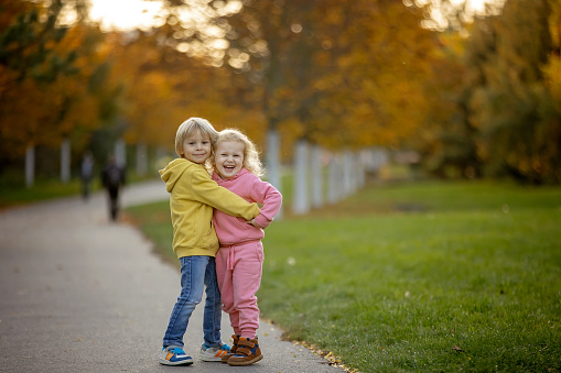 Cute blond toddler children boy and girl,walking in autumn park on sunset, enjoying the beautiful nature, autumntime