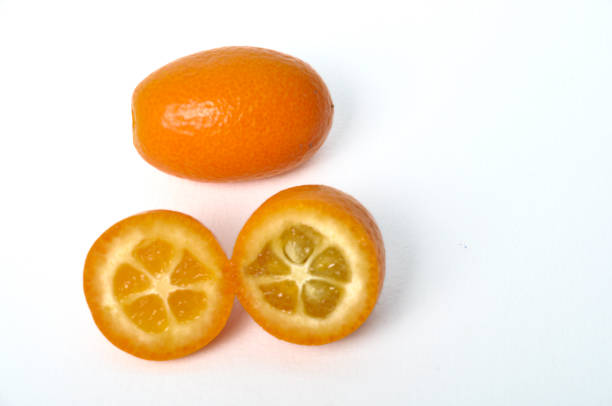 istock kumquat on a white background 1677828884