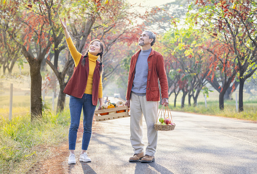 concept of family lifestyle and seasonal harvest in fall season,happy family,father together with daughter carry harvested fruits in wooden storage crate and basket walking along the street in autumn