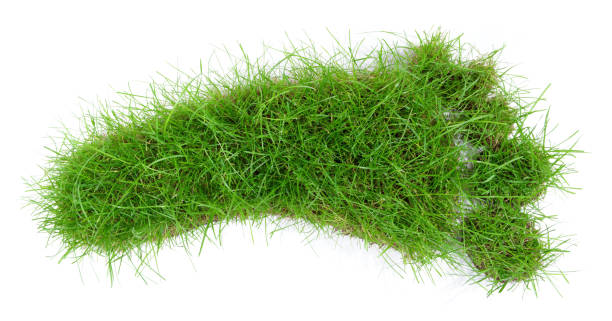 istock Grass Footprint on white Background - Isolated 1677841043