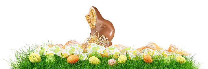 Grass Panorama with Easter Eggs and Chocolate Rabbit