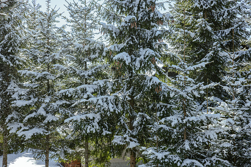 House in Snow. Oregon, Ashland, Winter